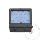 Emergency Light | Constellation Wall Pack | Dark Bronze Housing [ELF-CON]