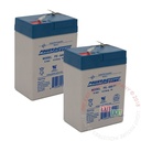 Battery | 6V 4.5Ah Sealed Lead Acid | 2 Pack [B6V4A-2]