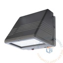 Emergency Light | Constellation Wall Pack | Dark Bronze Housing [ELF-CON]