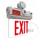 Emergency Light | Hazardous Location C1D1 | Gray Housing [ELSM-C1D1]