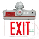 Emergency Light | Hazardous Location C1D1 | Gray Housing [ELSM-C1D1]