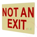 Marker | Photoluminescent | Rigid PVC | Not An Exit [PTM-NOEX]